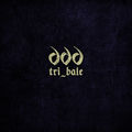 666tri_bale
