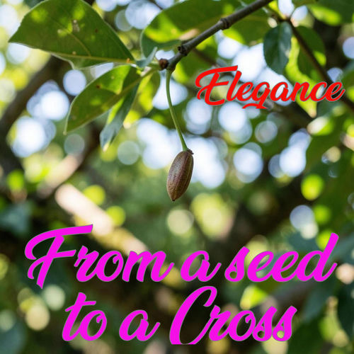 From a seed to a cross
