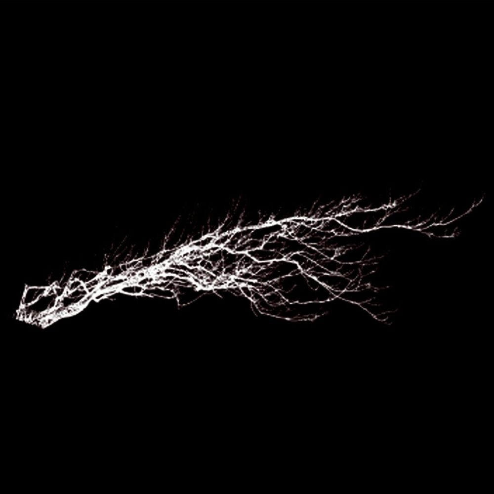 Picture of Pure Noise