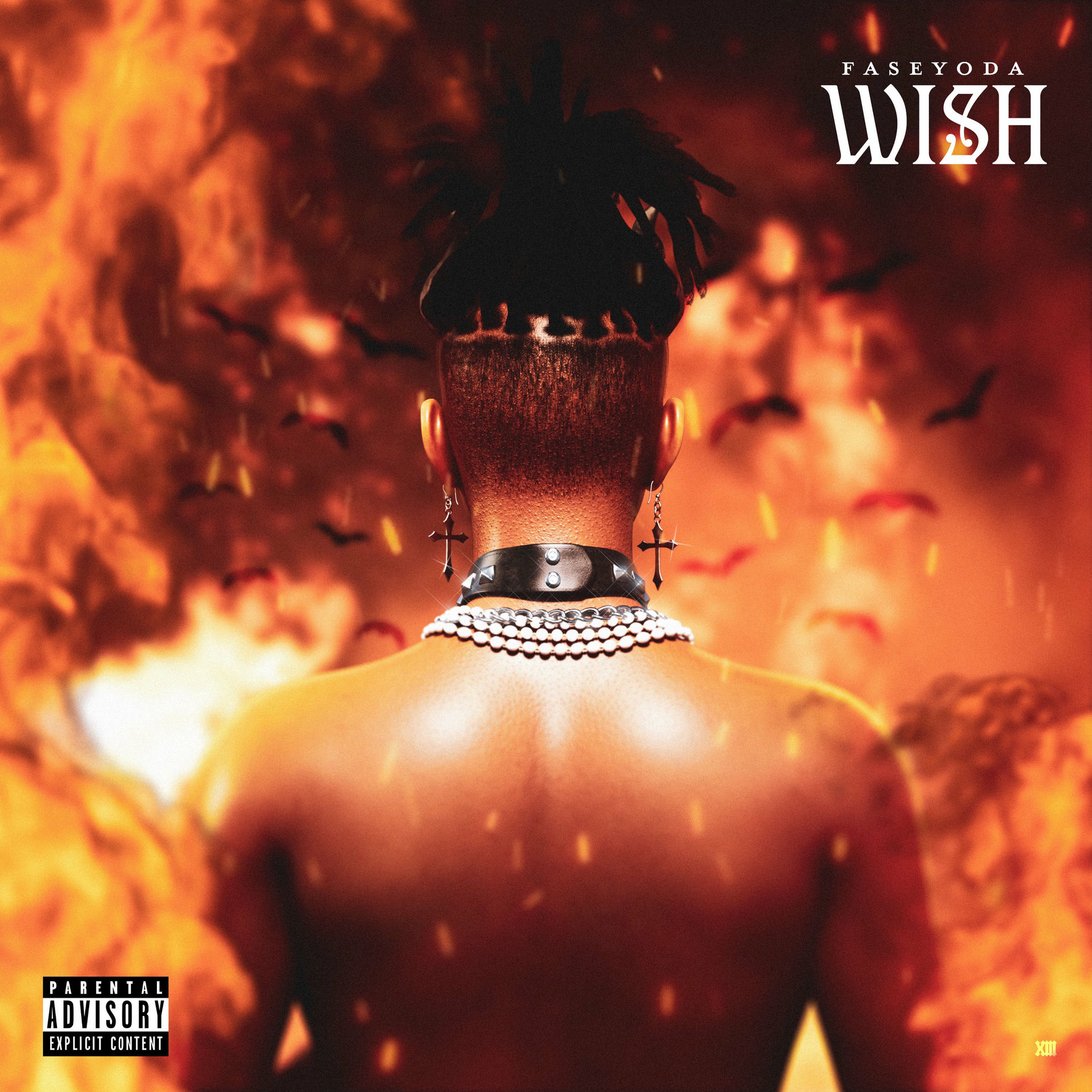 Album cover of Wish