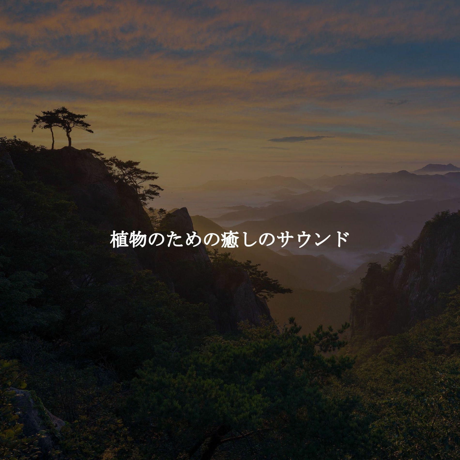 Album cover of 植物のための癒しのサウンド