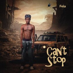 Cover of Can’t Stop