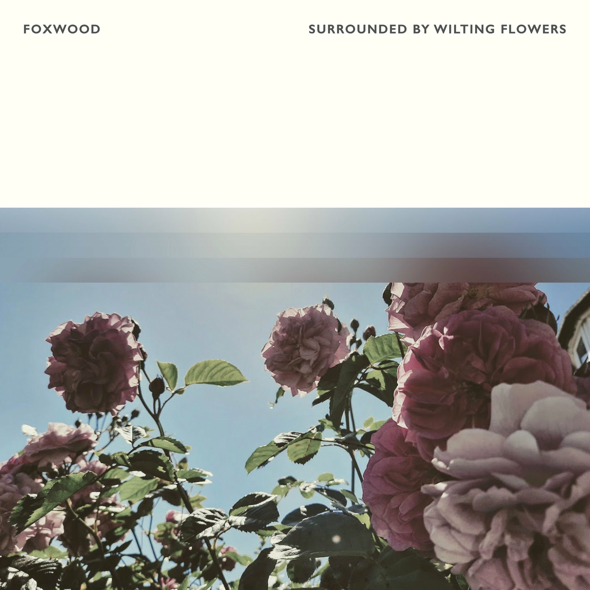 Album cover of Surrounded by Wilting Flowers
