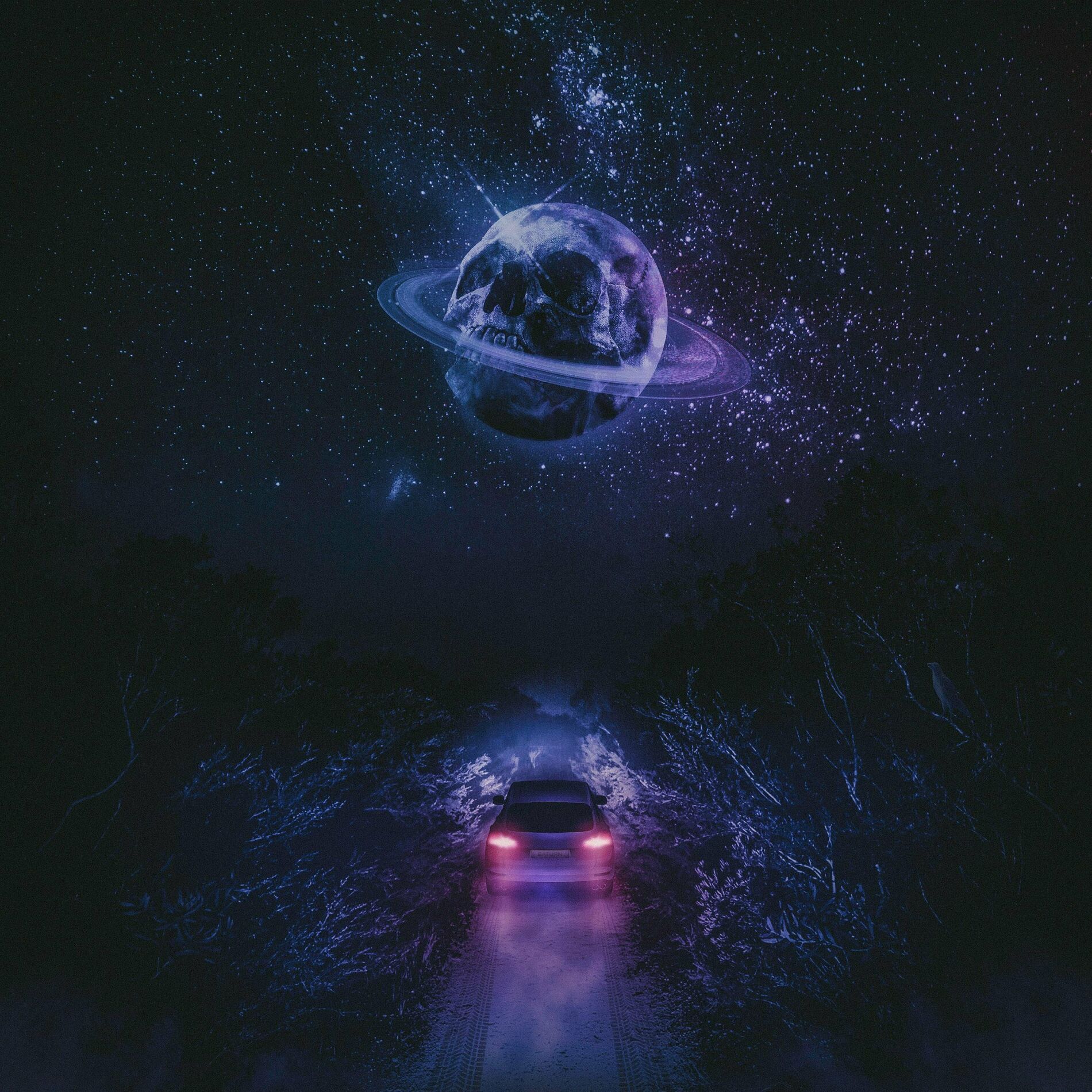 Album cover of No Love