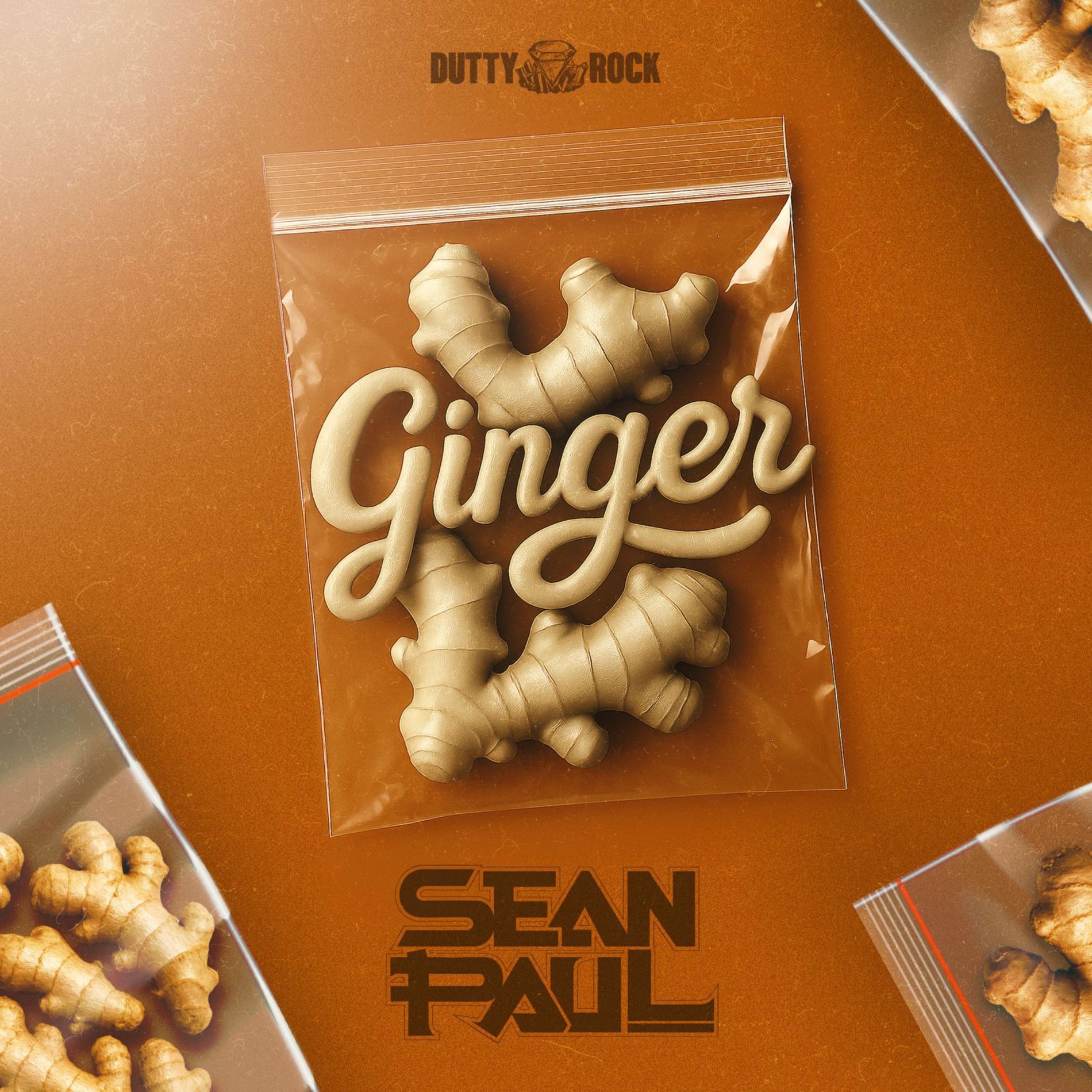 Album cover of Ginger
