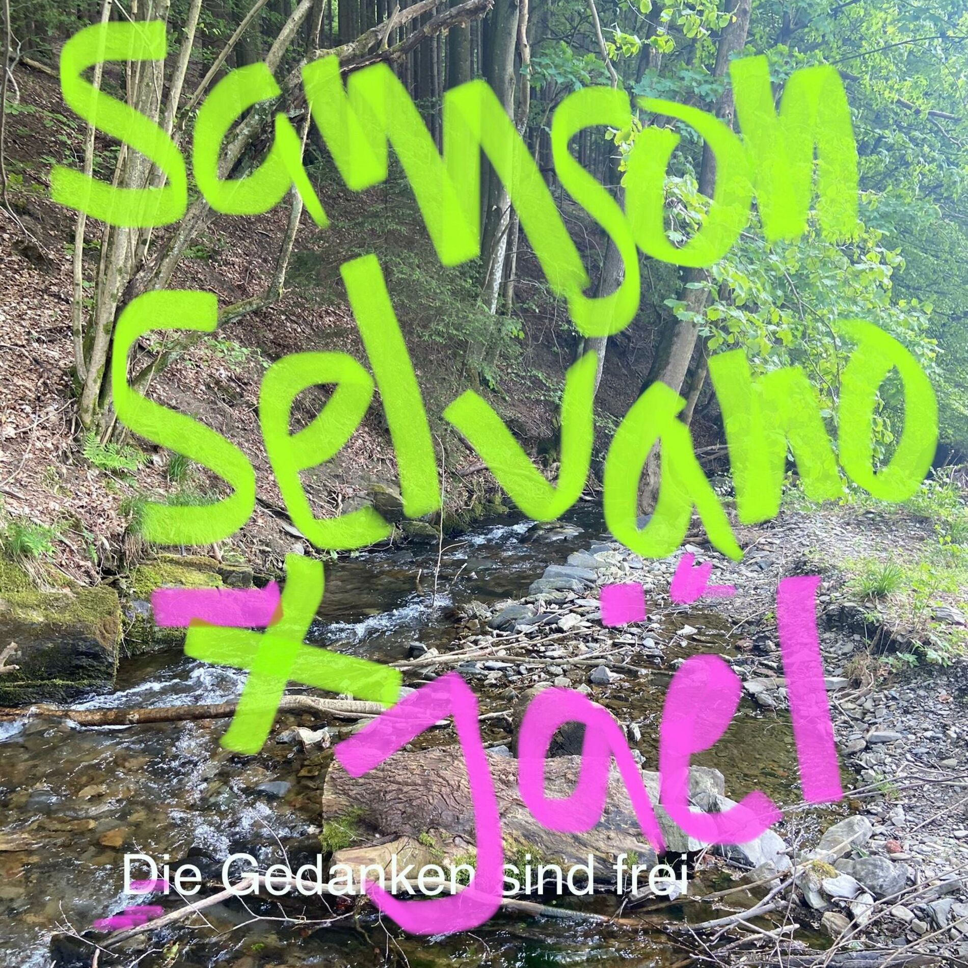 Album cover of Die Gedanken sind frei (feat. Jael) [Selvano Version]