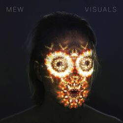 Cover of Visuals
