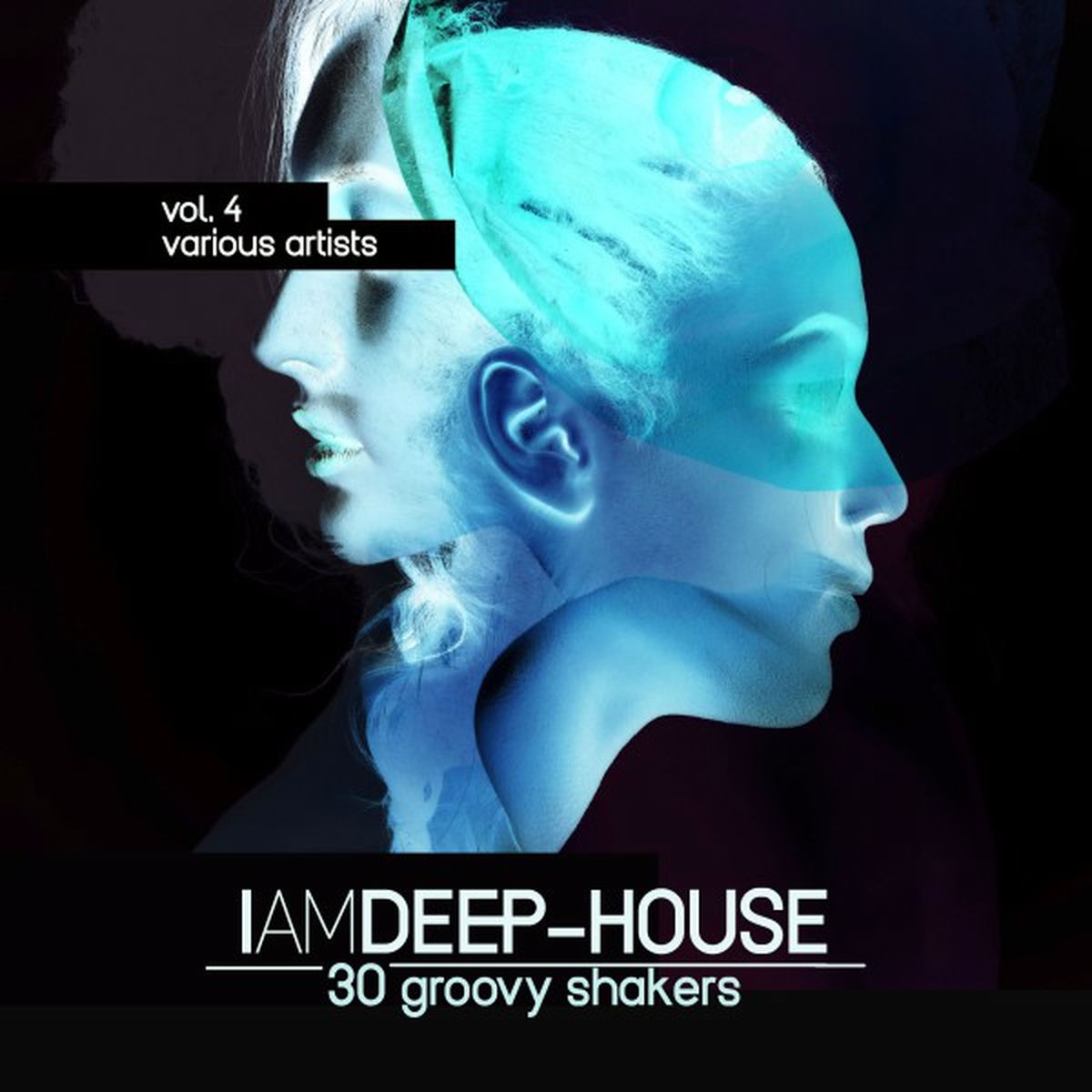 Album cover of I Am Deep-House (30 Groovy Shakers), Vol. 4