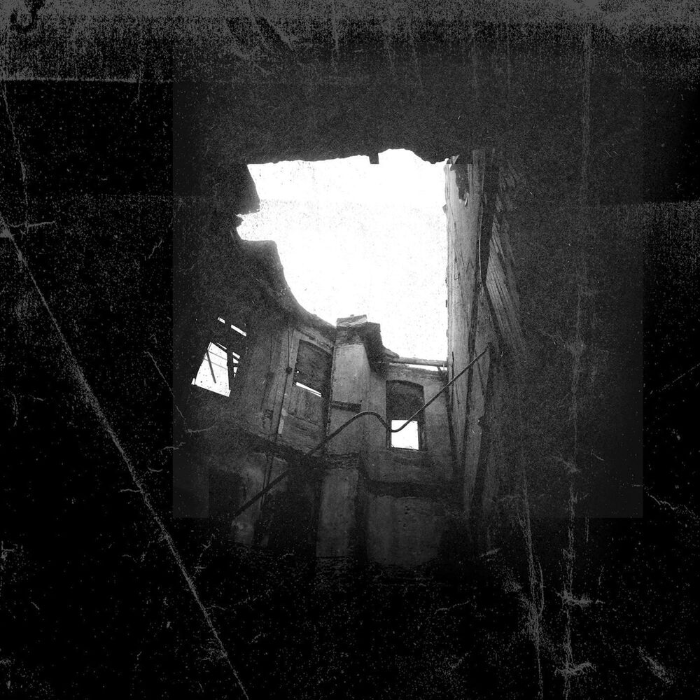 Picture of Transient