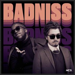 Cover of Badniss