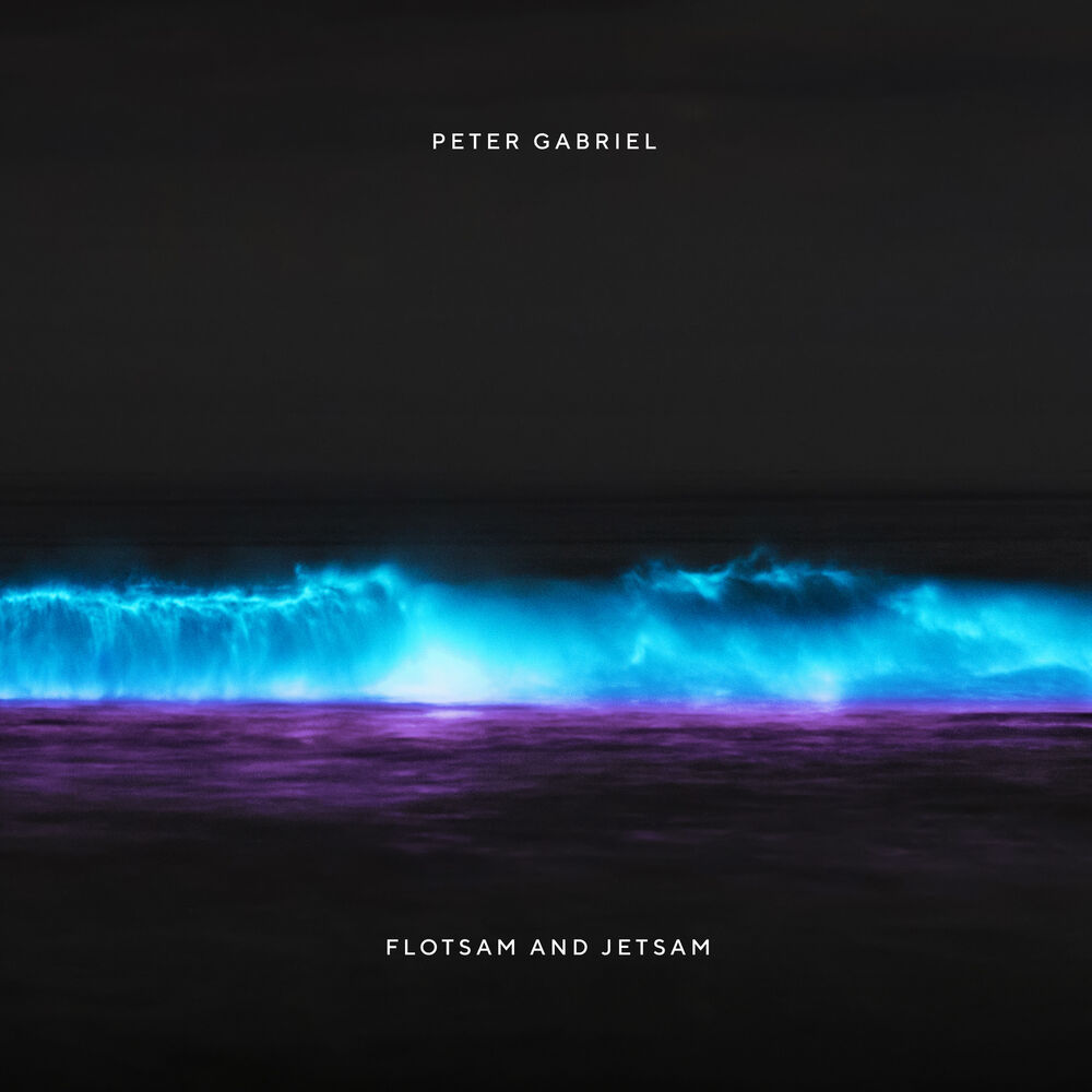 Picture of Flotsam and Jetsam