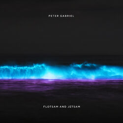 Cover of Flotsam and Jetsam