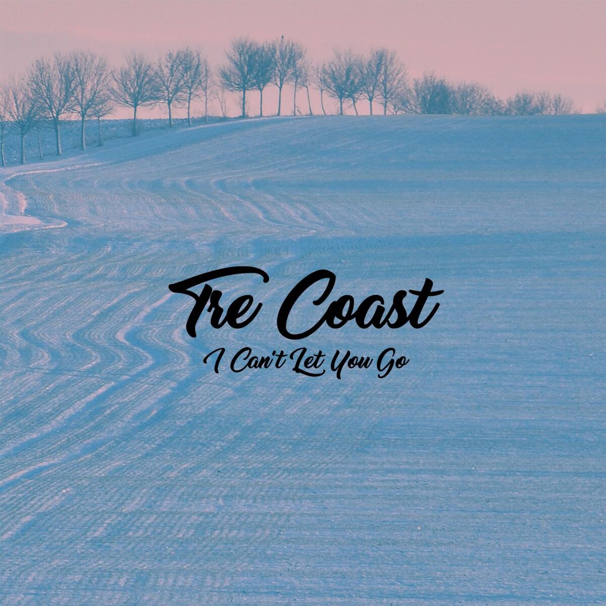 Album cover of I Can't Let You Go