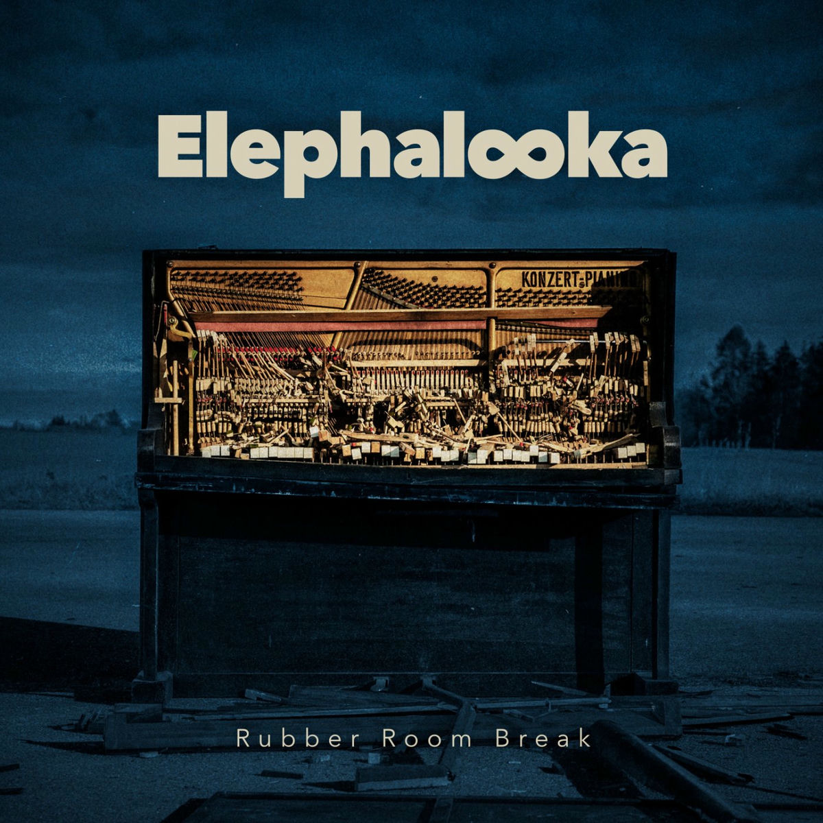 Album cover of Rubber Room Break