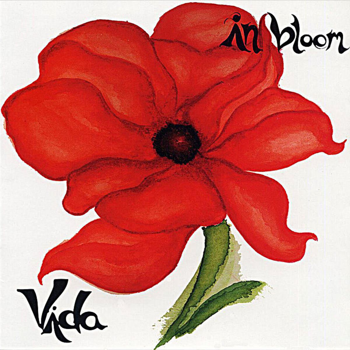Album cover of In Bloom