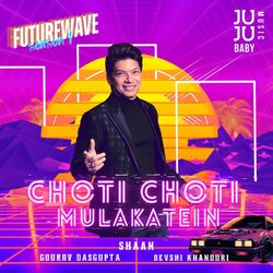 Cover of Choti Choti Mulakatein (Futurewave Season 1)