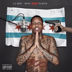 Cover of 300 Days 300 Nights