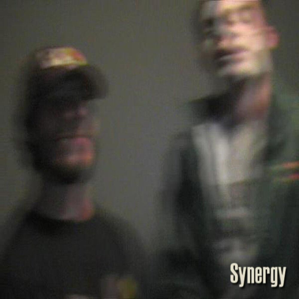 Picture of Synergy