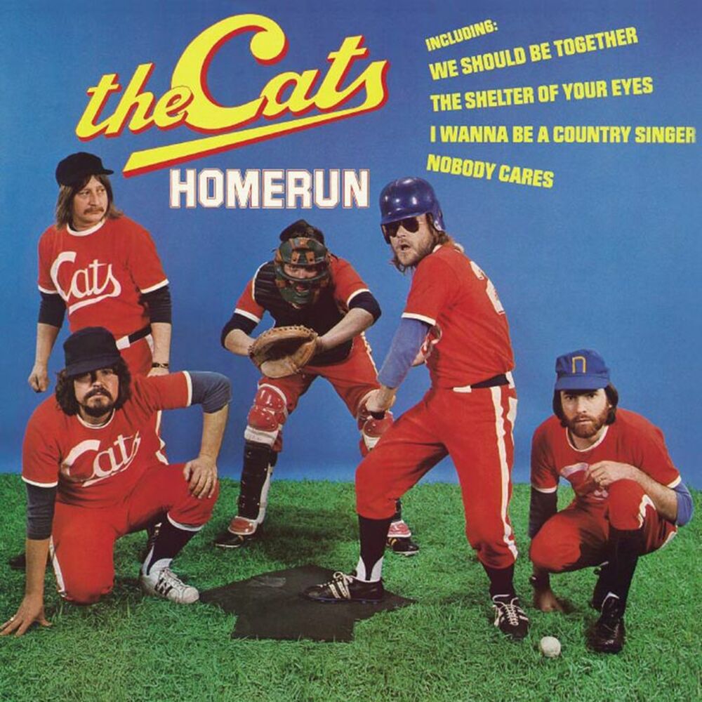 Picture of Homerun