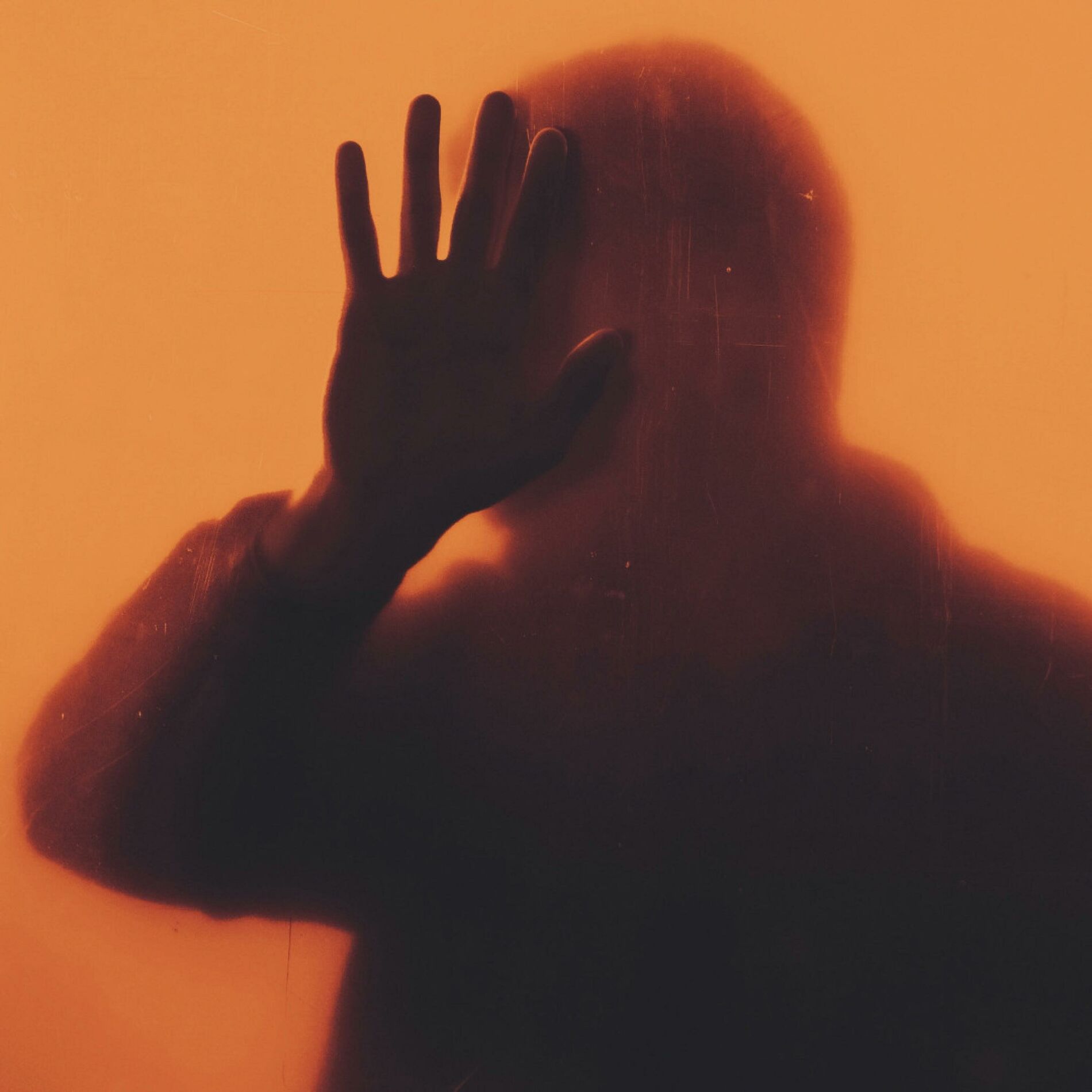 Album cover of DON'T SAY GOODBYE