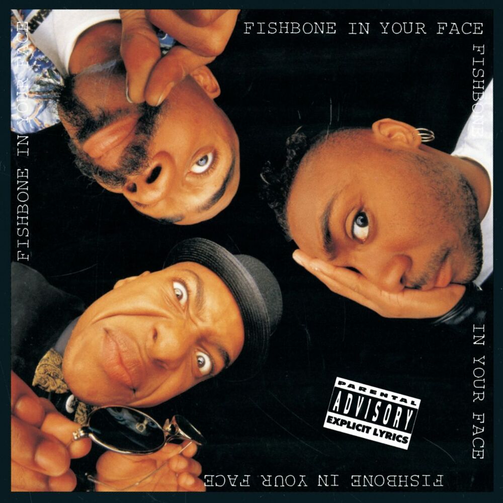Picture of In Your Face