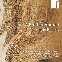 Cover of Bussey: A Brother Abroad