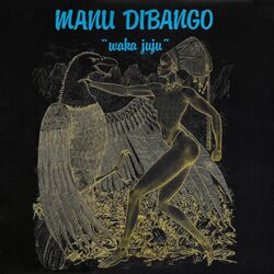 Cover of Waka Juju