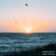 Water Cowboy (Original Mix)