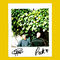 ur world by Oppidan album cover