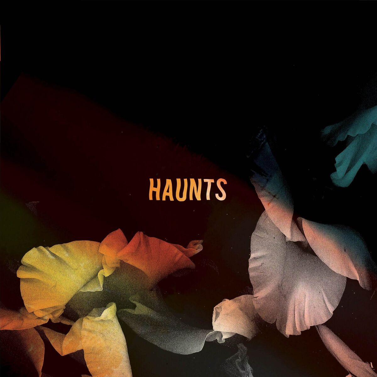 Album cover of Haunts