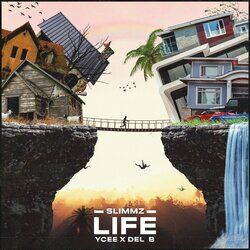 Cover of Life