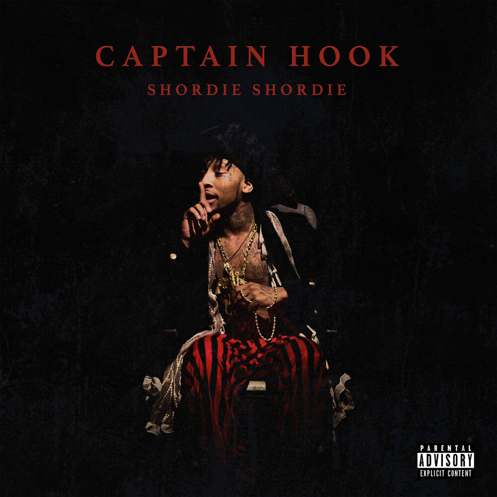 Picture of Captain Hook