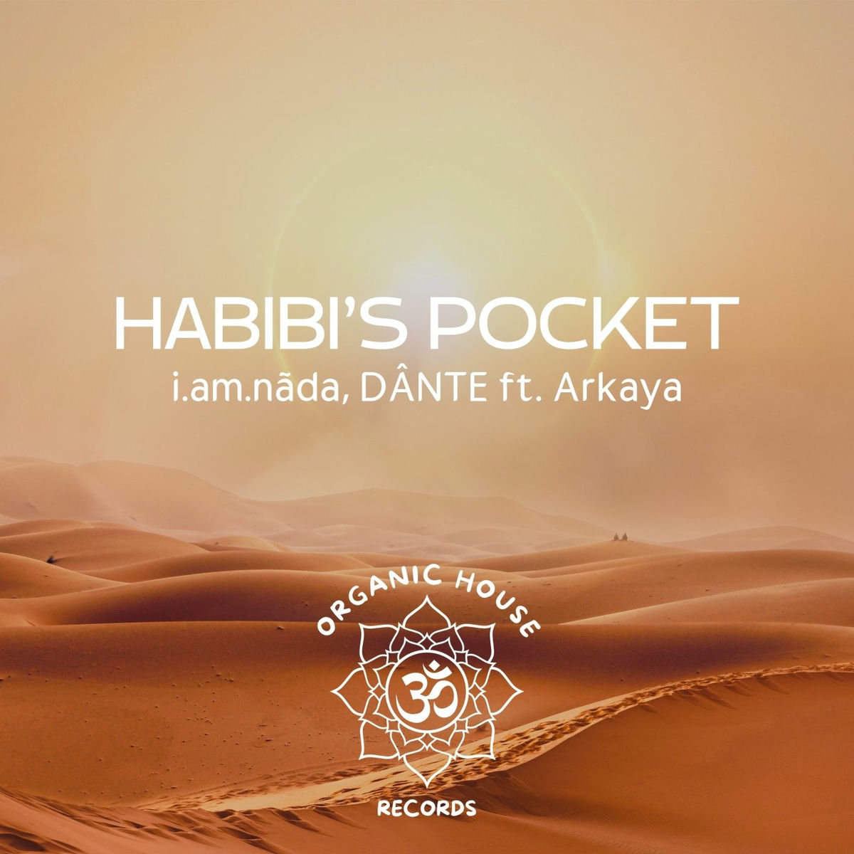 Album cover of Habibi's Pocket