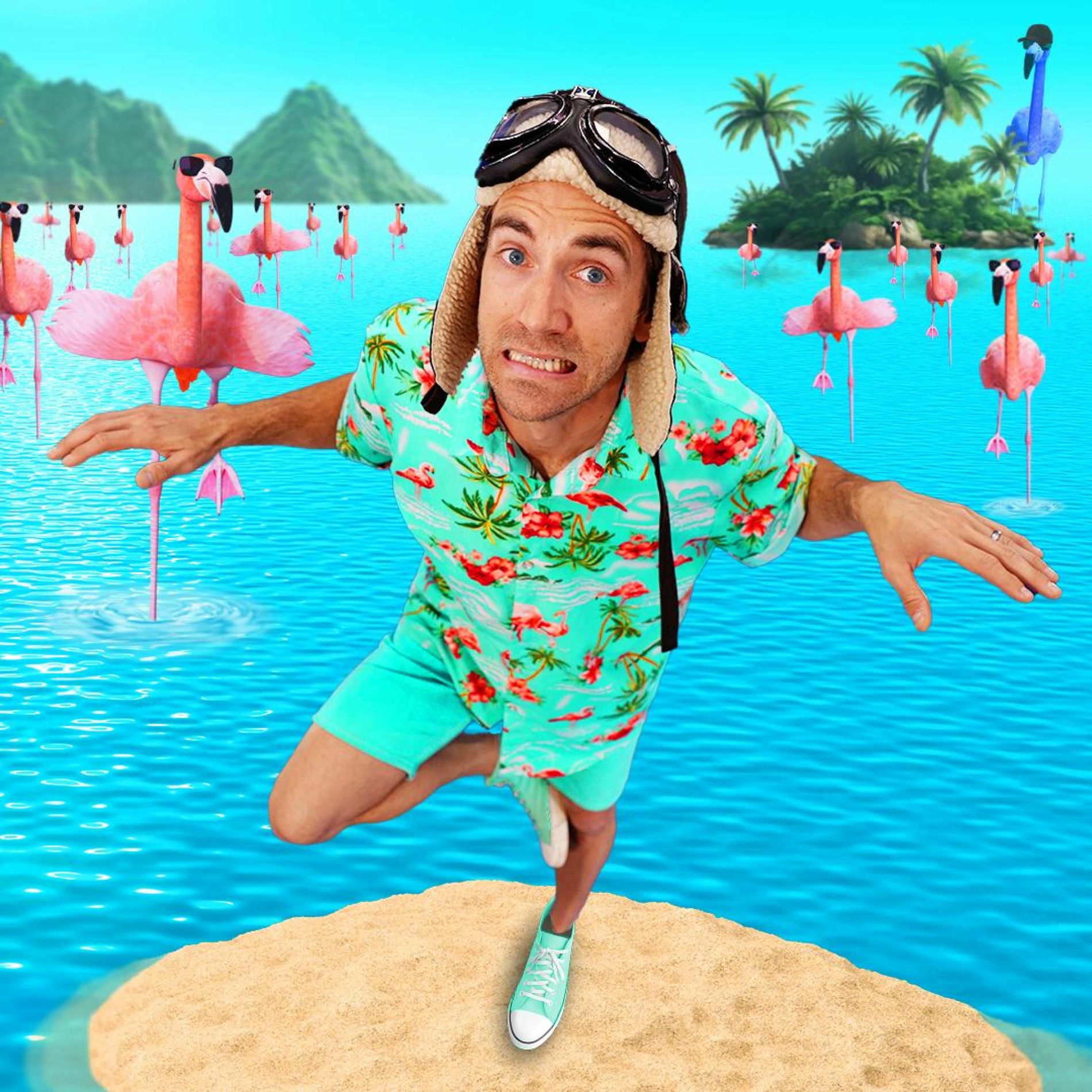 Album cover of Flamingo Frenzy!