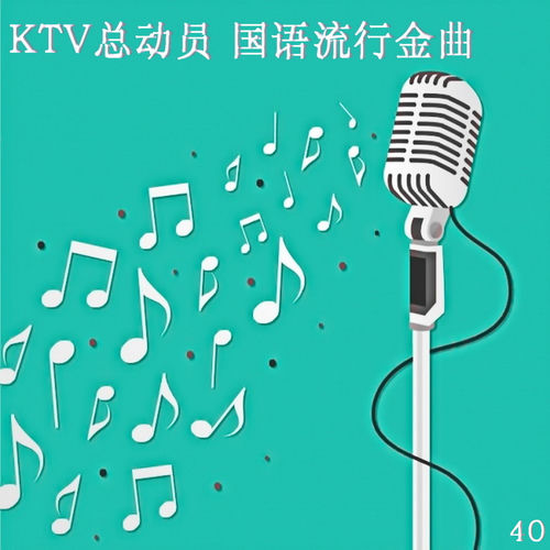 KTV总动员 国语流行金曲 40