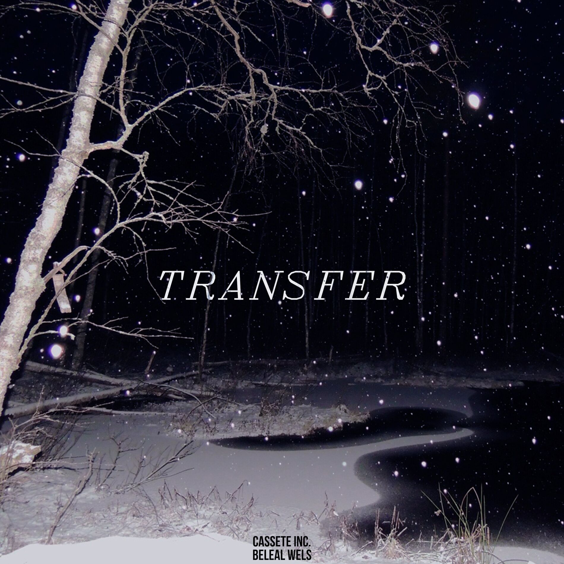Album cover of Transfer