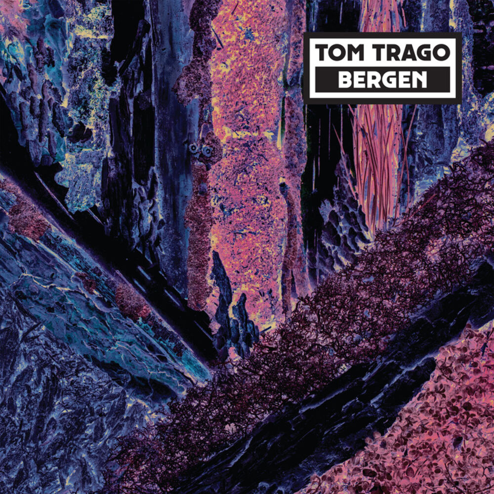Picture of Bergen