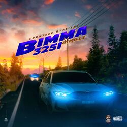 Cover of Bimma 325I
