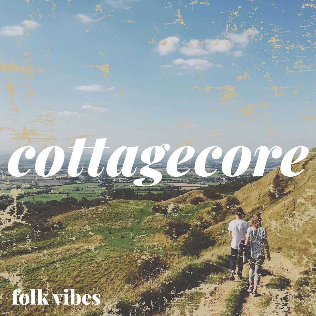 Album cover of cottagecore - folk vibes (Acoustic Version)