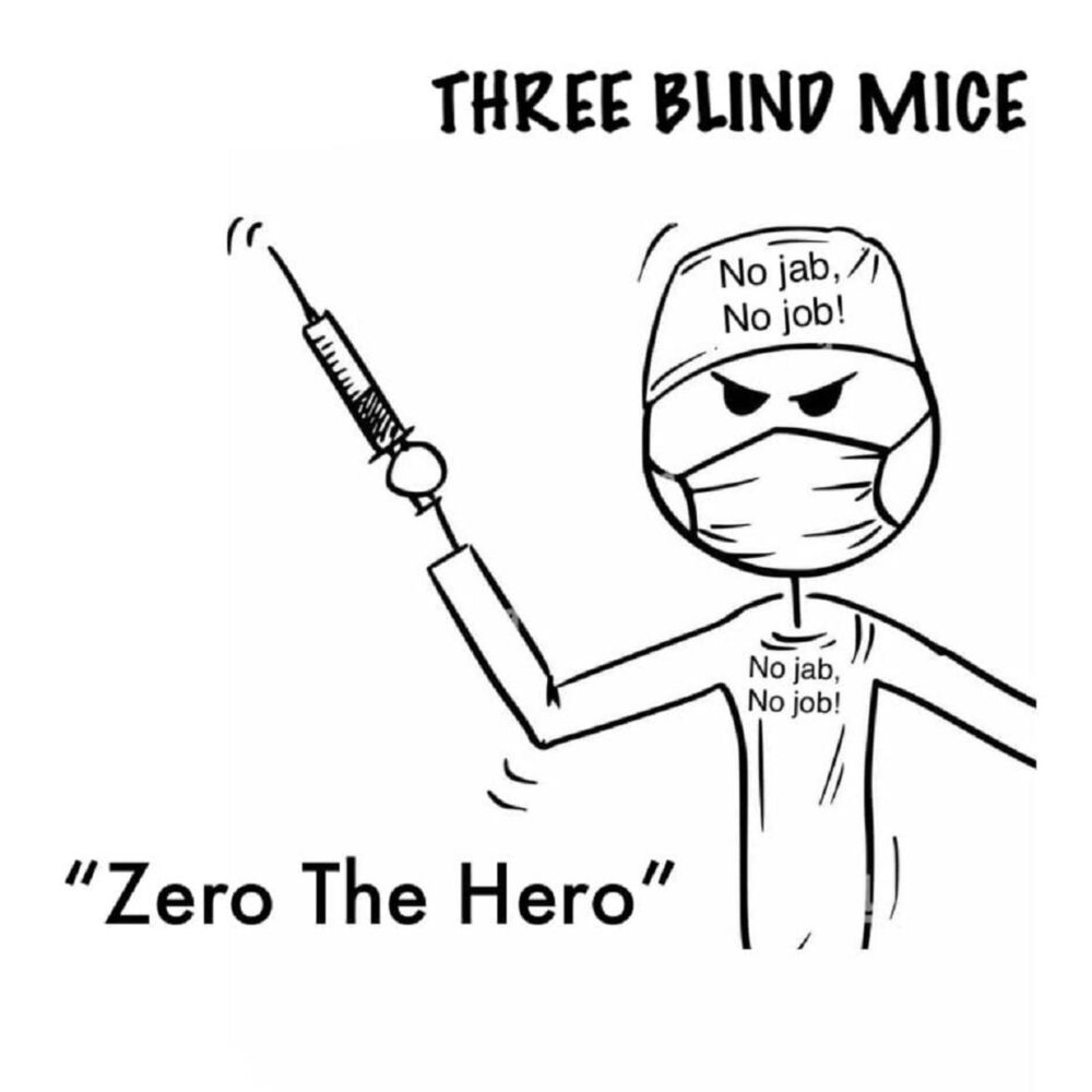 Picture of Zero The Hero