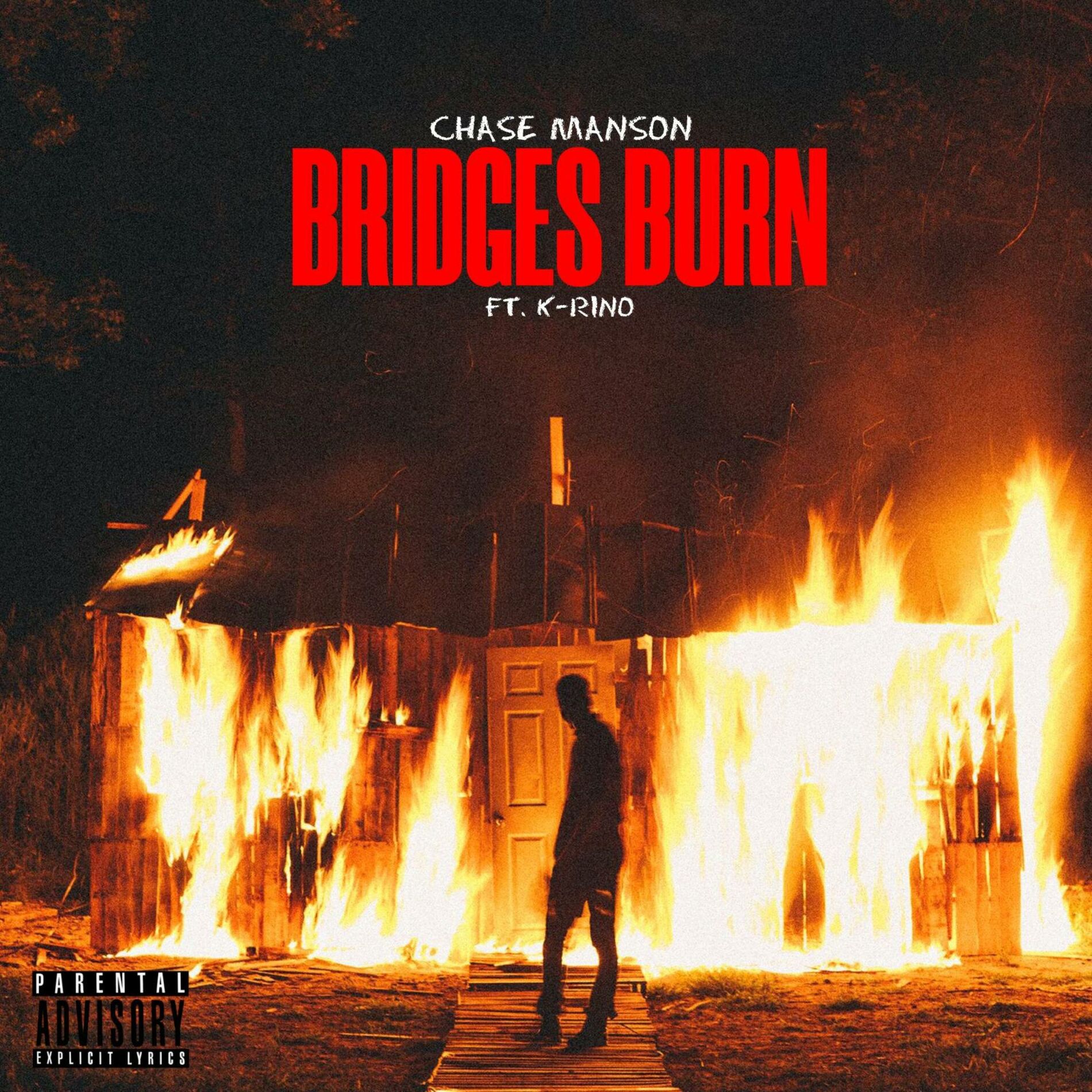 Album cover of Bridges Burn (feat. K-Rino)