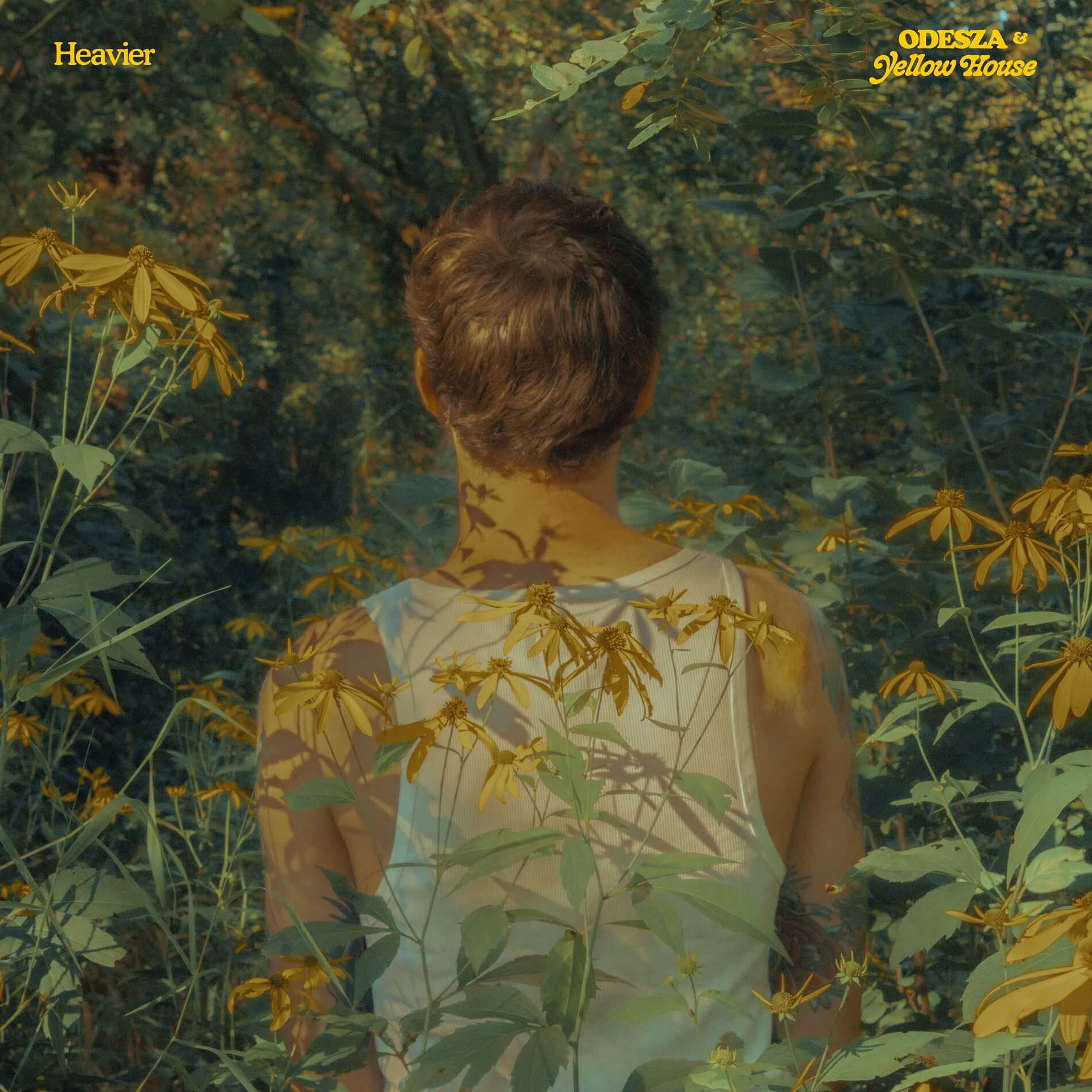 Album cover of Heavier