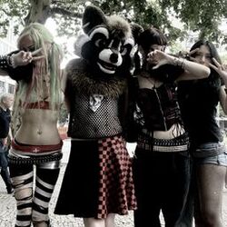 Cover of flash mob