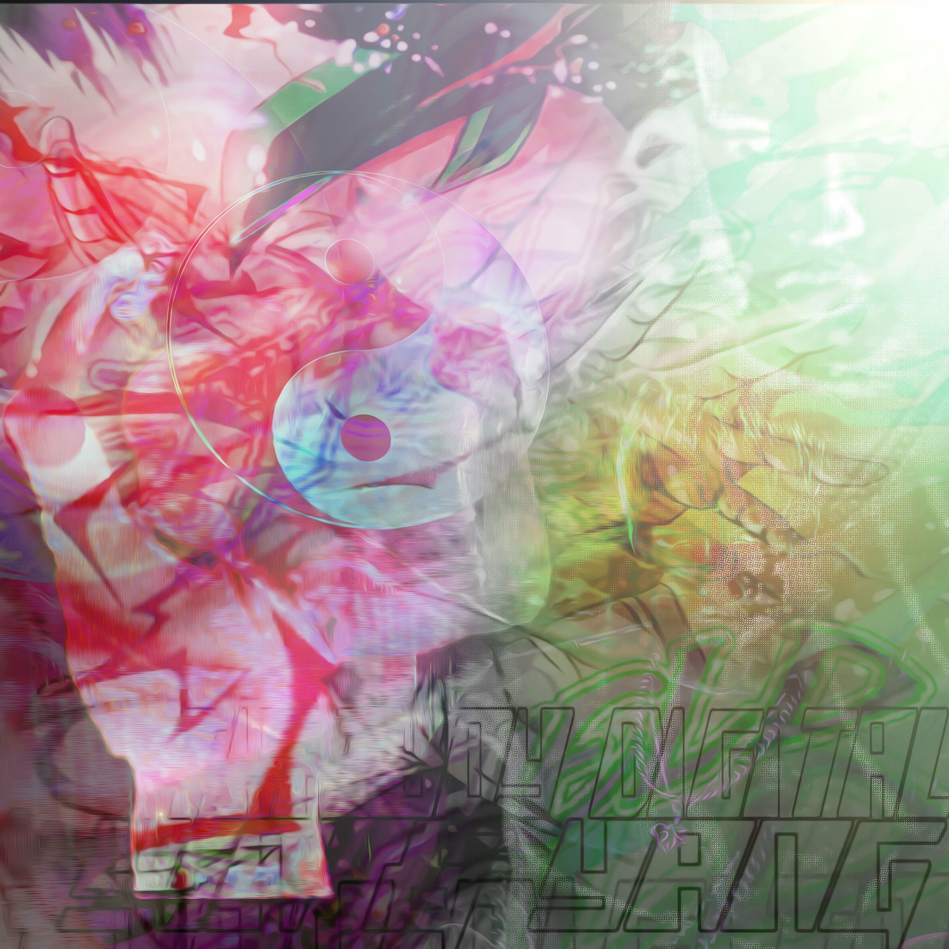 Album cover of Yin & Yang