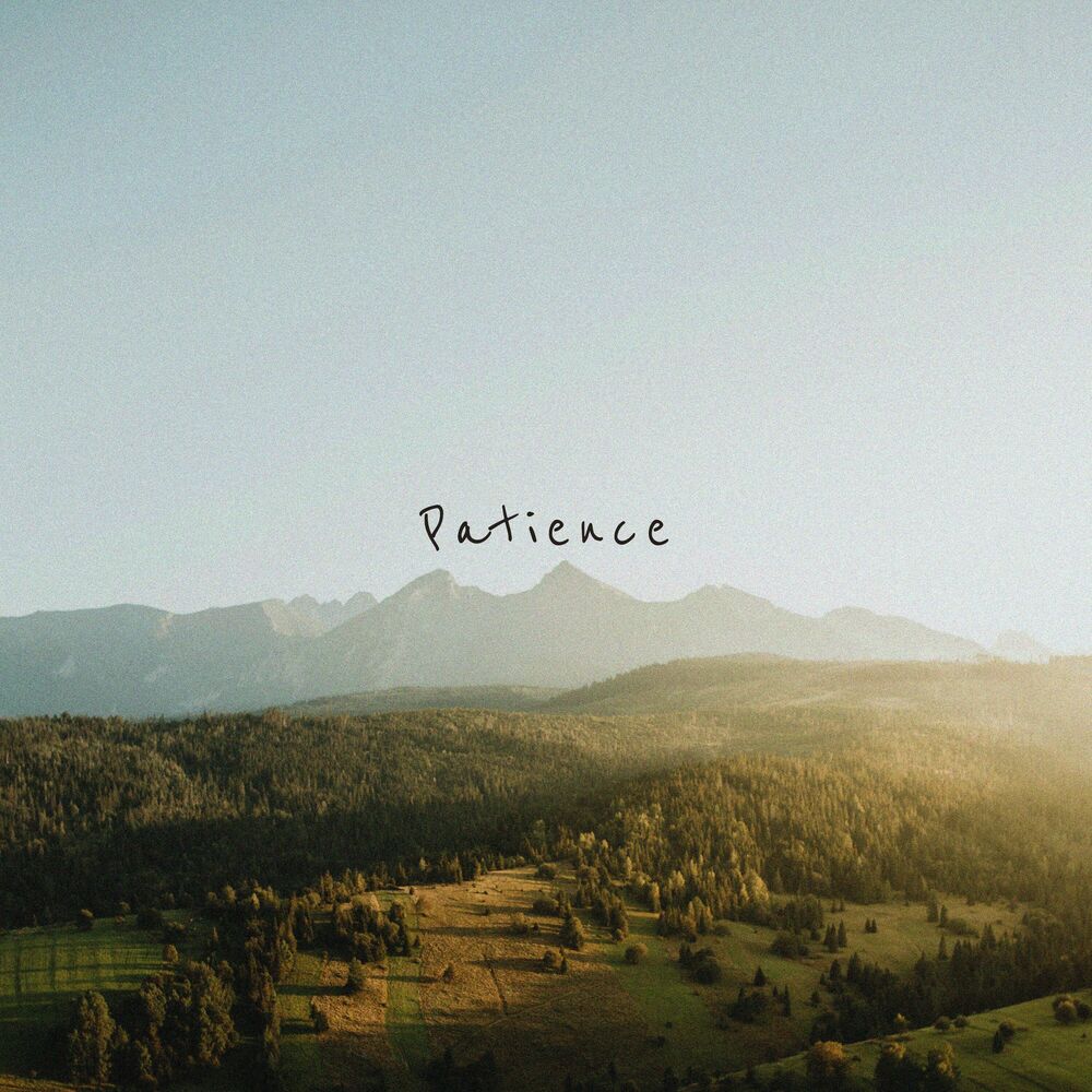 Picture of Patience