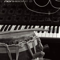 Cover of Hornets (Radio Edit)