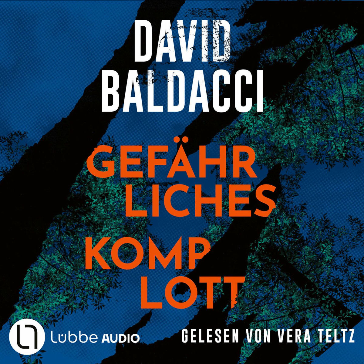 Album cover of Kapitel 1 - Gefährliches Komplott