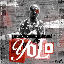 Cover of Yolo