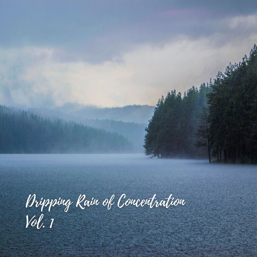 Picture of Dripping Rain of Concentration Vol. 1