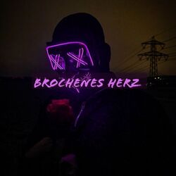 Cover of Brochenes Herz